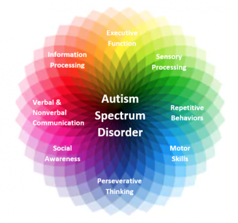 autism spectrum graphic