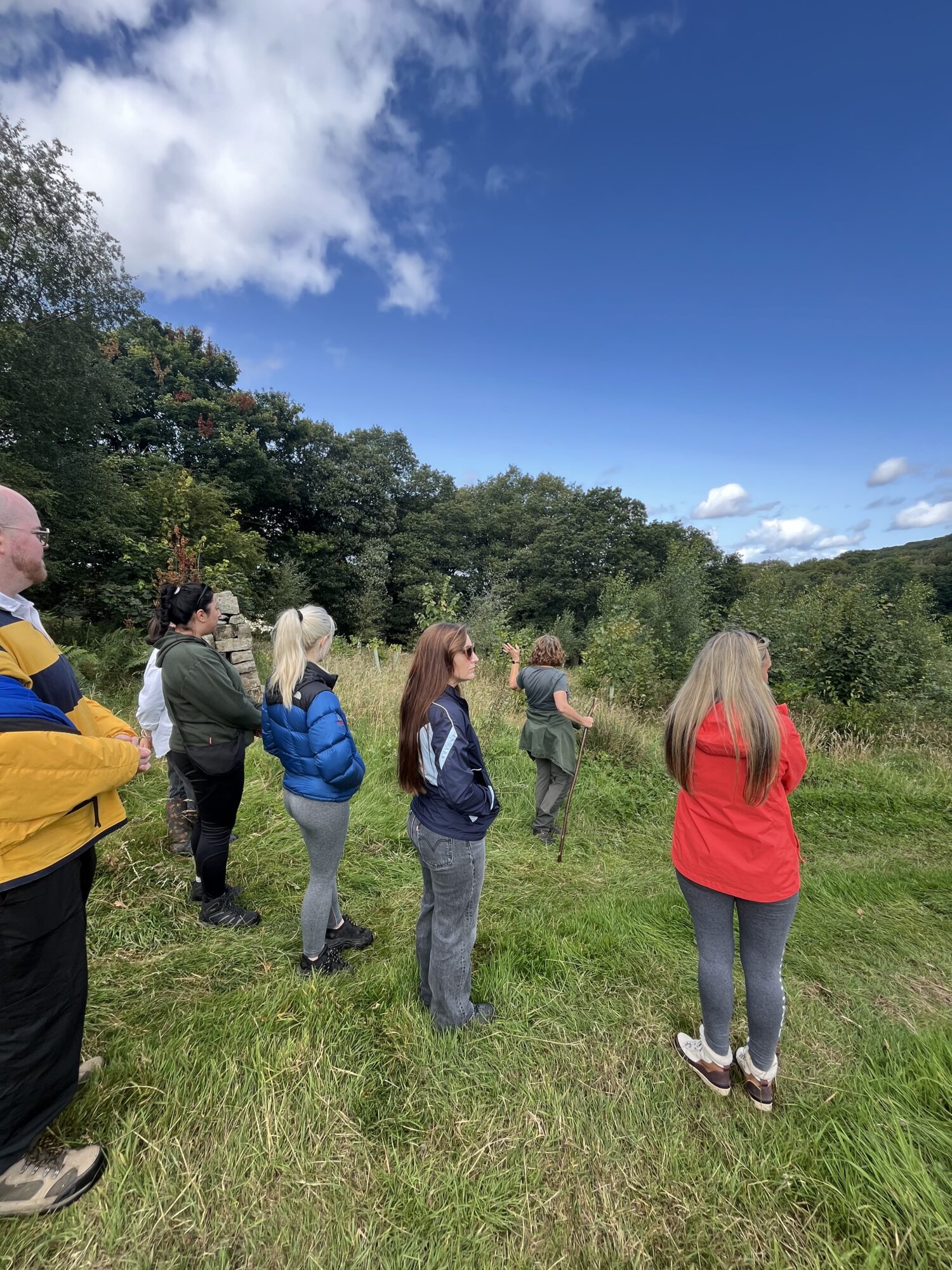 6 members of the Halston B2B team looking across Bank Wood with a Make It Wild team member