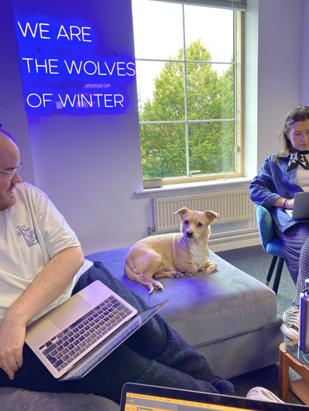 Two members of the Halston B2B team working at the Halston B2B office with one of the office dogs