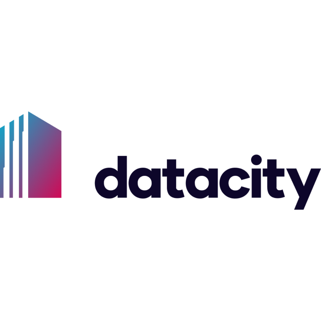 The Data City logo